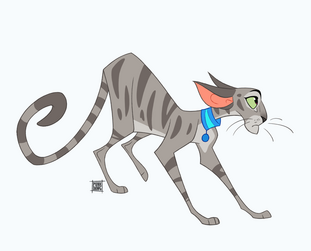 Oriental Shorthair