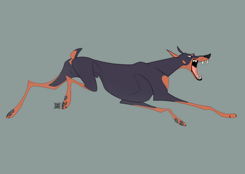Dobermann