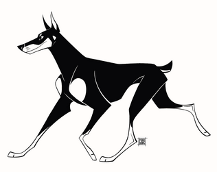 B&W Dobermann