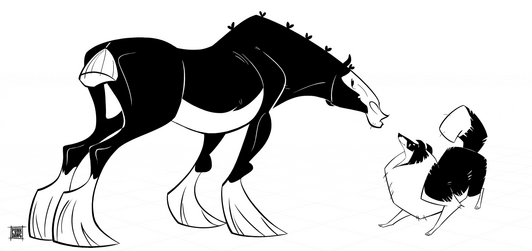 Clydesdale & Collie