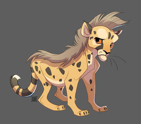 Cheetah Cub